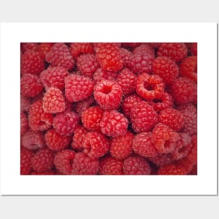 Ripe red raspberry Posters and Art